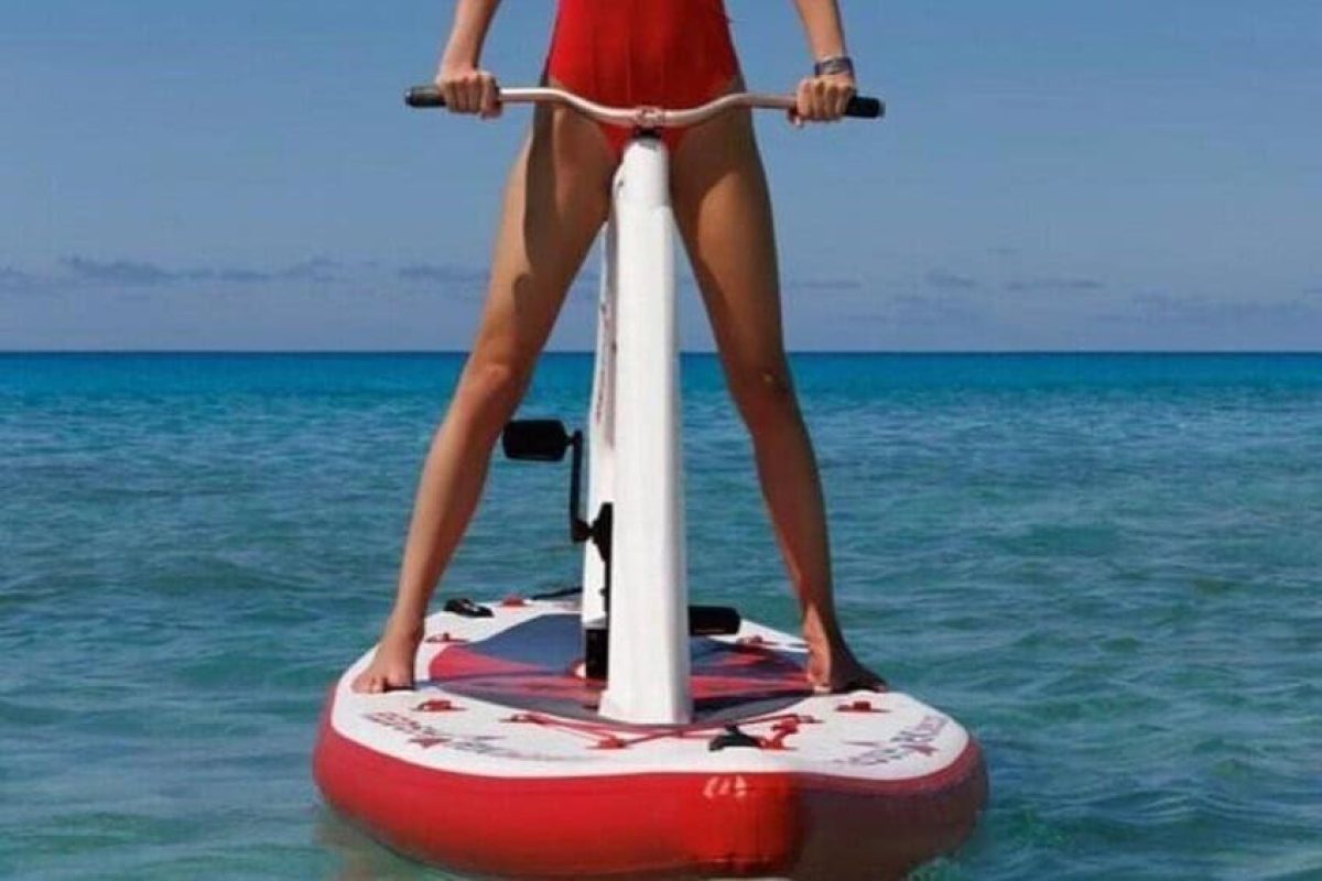 d913298b-8366-438c-b696-bf22ee4f0d05