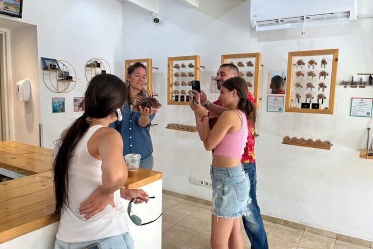 d9183cc6-ffcd-4a6c-acd5-9bc364b01a76