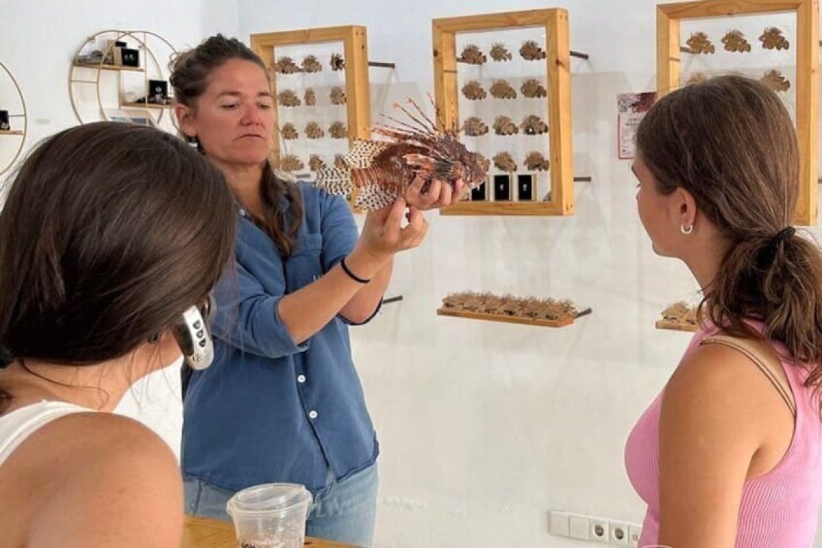 d9b1d9f1-a00e-42a4-9b44-5ed5bce9d23c