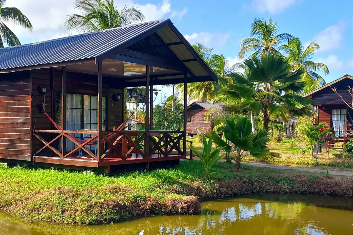 Houten cabana met veranda en golfplaten dak aan een vijver, omringd door palmen