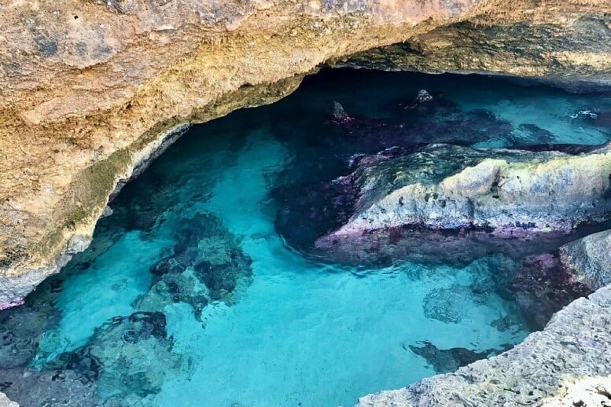 dd526106-71bb-4f2e-a550-8a2dd98665eb