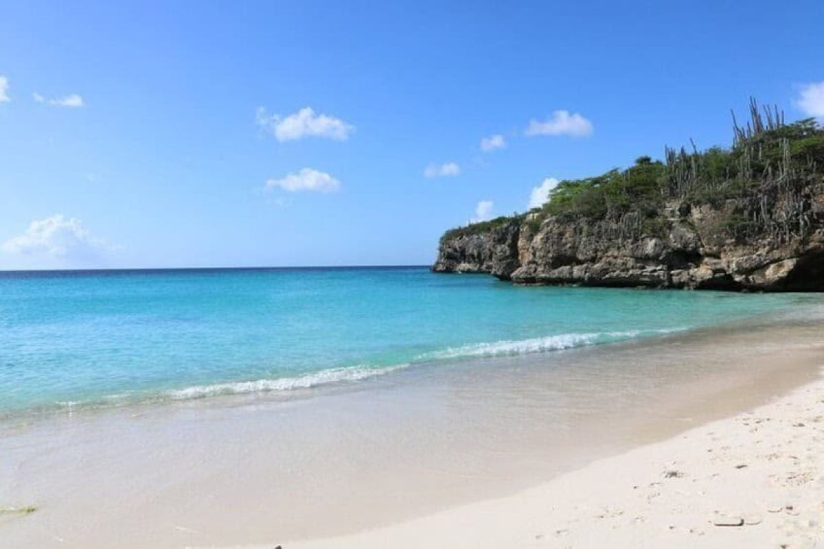 DF51D310-7767-4538-AEB8-F76D0060C0D9