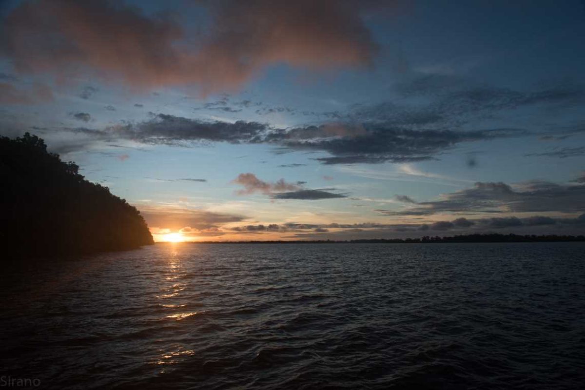 Dolphin watching-Suriname5