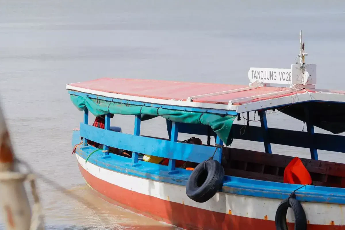 dolfijnen-tour-suriname-3