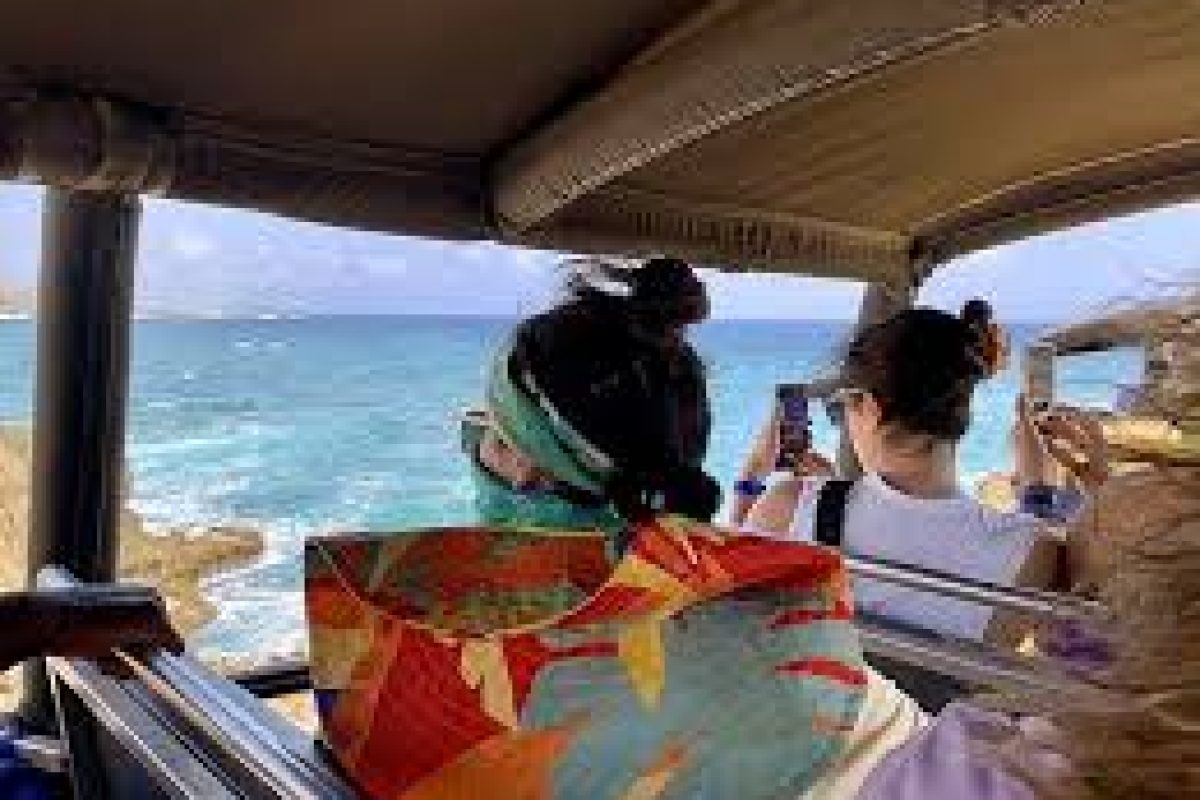 download_6_65ece0fa-0043-4bb3-a91a-e7906268b251