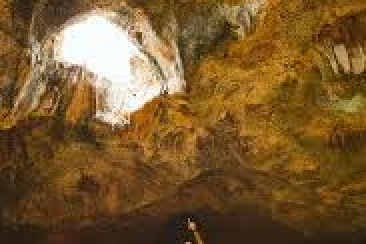 download_7_6d0f43f5-df2b-450b-ad4c-8254f37c6546