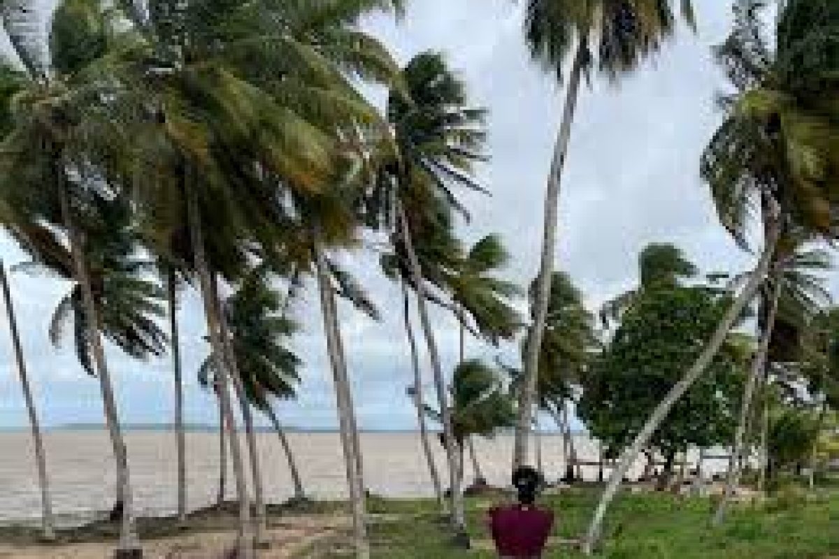 download_8_0bc4e907-066f-4f8e-8ea7-485872d58169