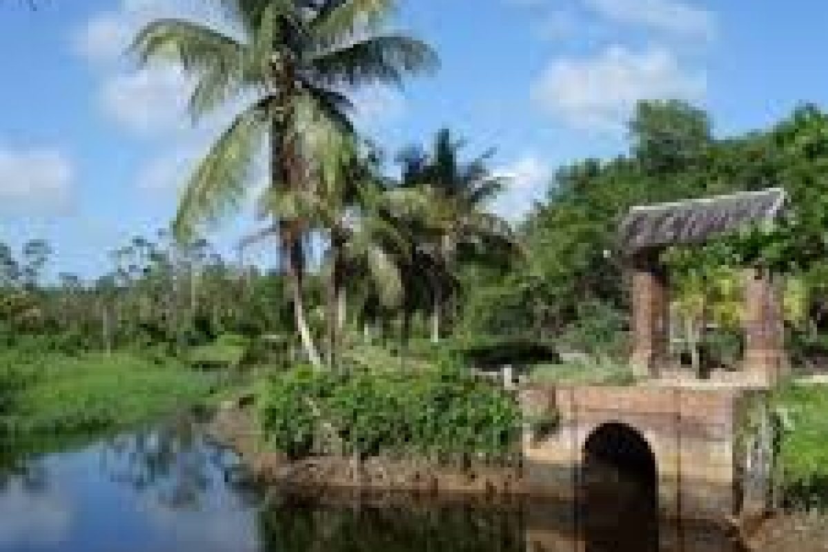 download_8eb9735d-6e0a-4930-8da4-2d6385bcf59a