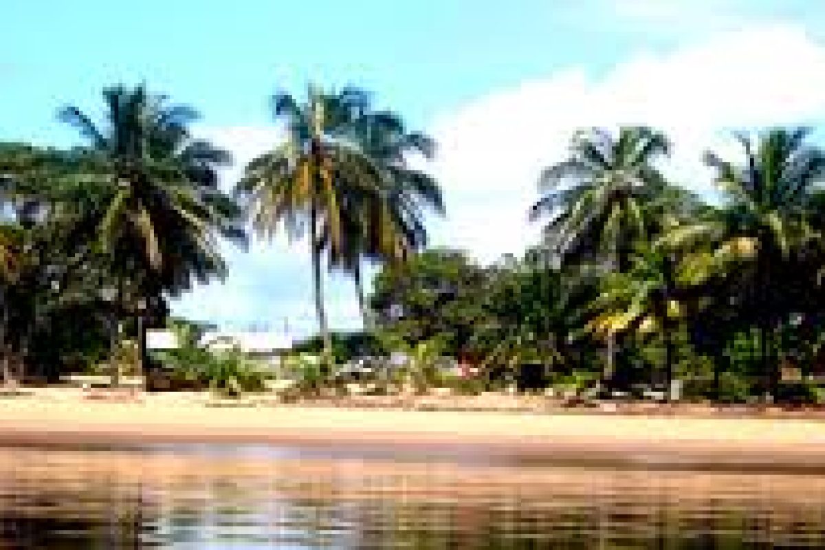 download_9_dd88ac01-e978-4618-8e2d-39653c12d7ca