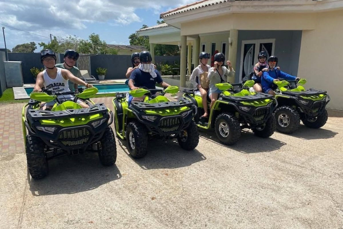 e3b8527f-7326-47f3-aa09-e89c50adc206