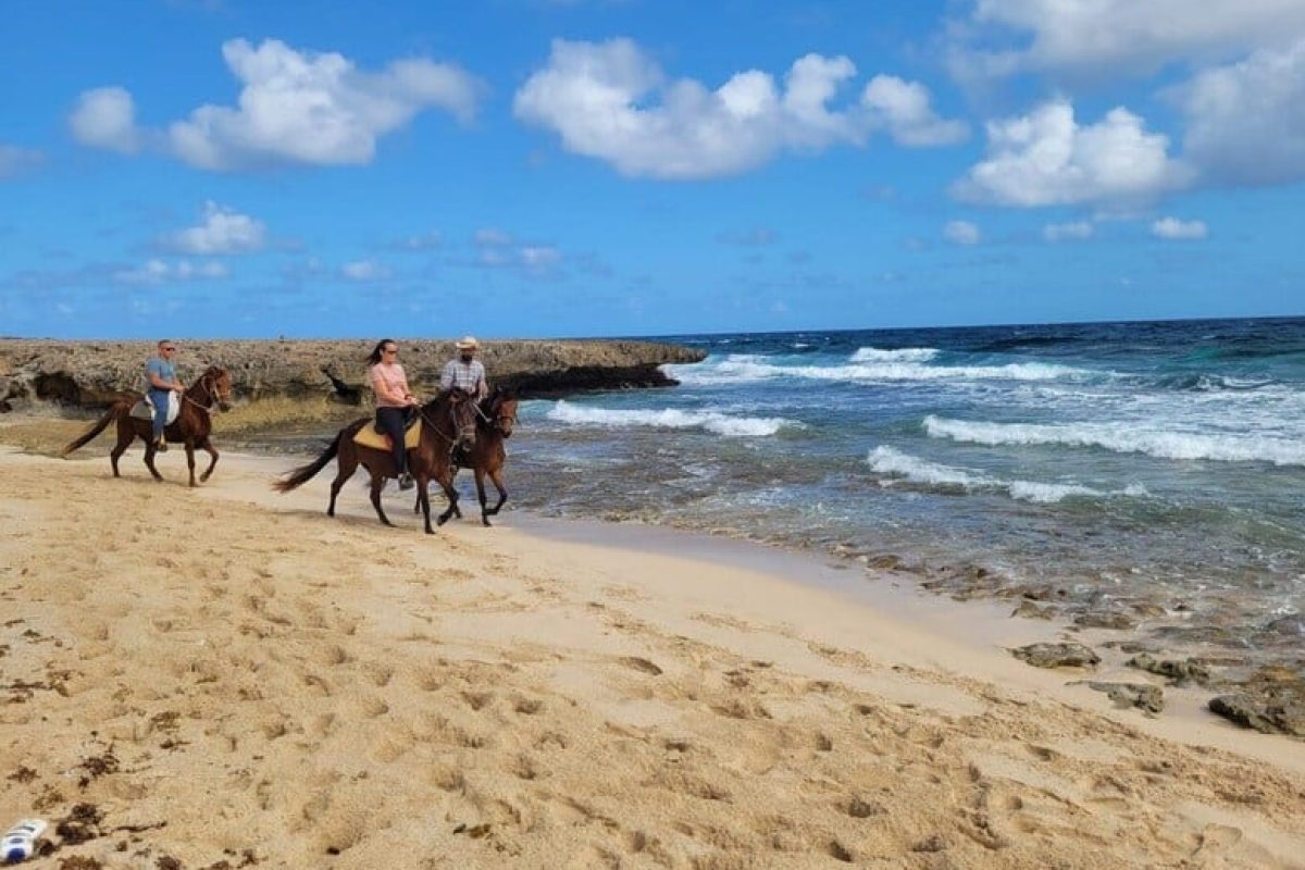 E40650C8-7902-493B-B3EF-DBF80C134FFB