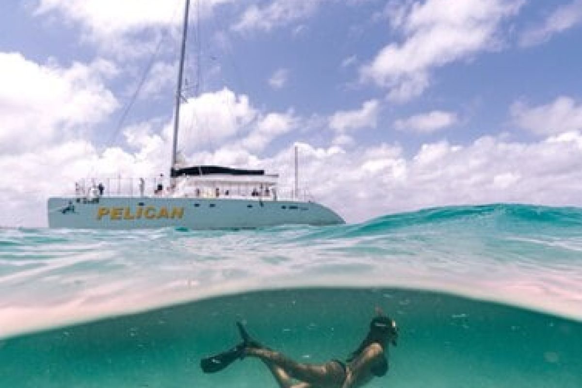 E5E57264-B341-49F5-8D3D-C57A844629FB