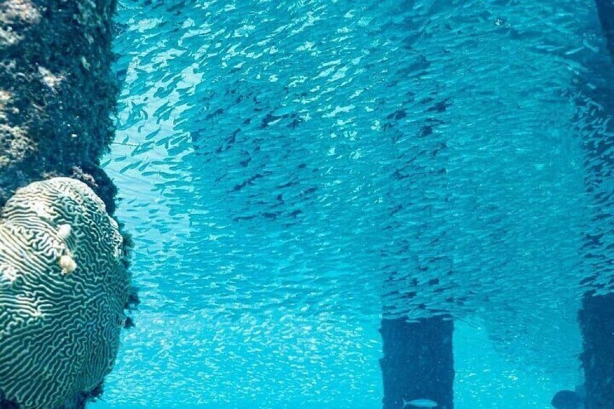 e7528078-1d1d-4acb-bb20-7573d7641cb6