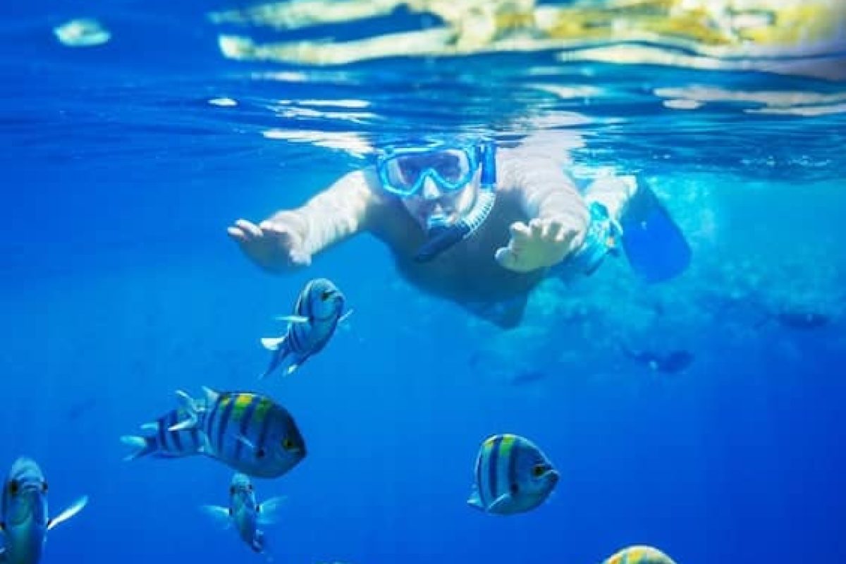 EB819850-3E98-4BBB-B489-B6D6F06A2372