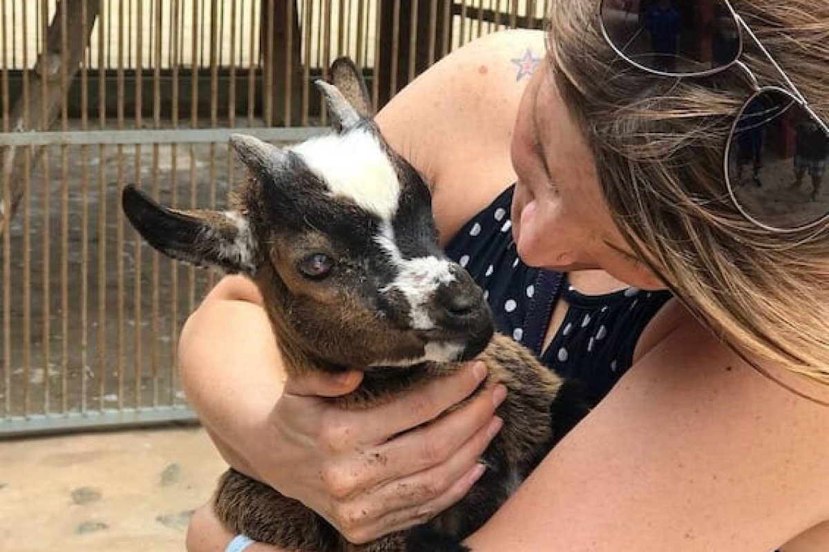 F19ECF4C-B0E4-4E5A-9CF8-804DC49F5B2A