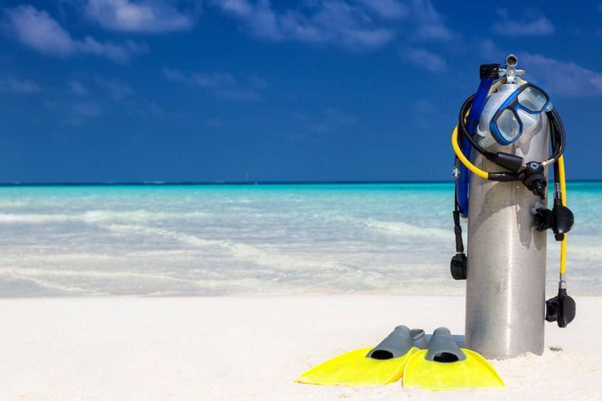 f1ce861e-a8a1-47d6-94fe-0ce9e96fb22a