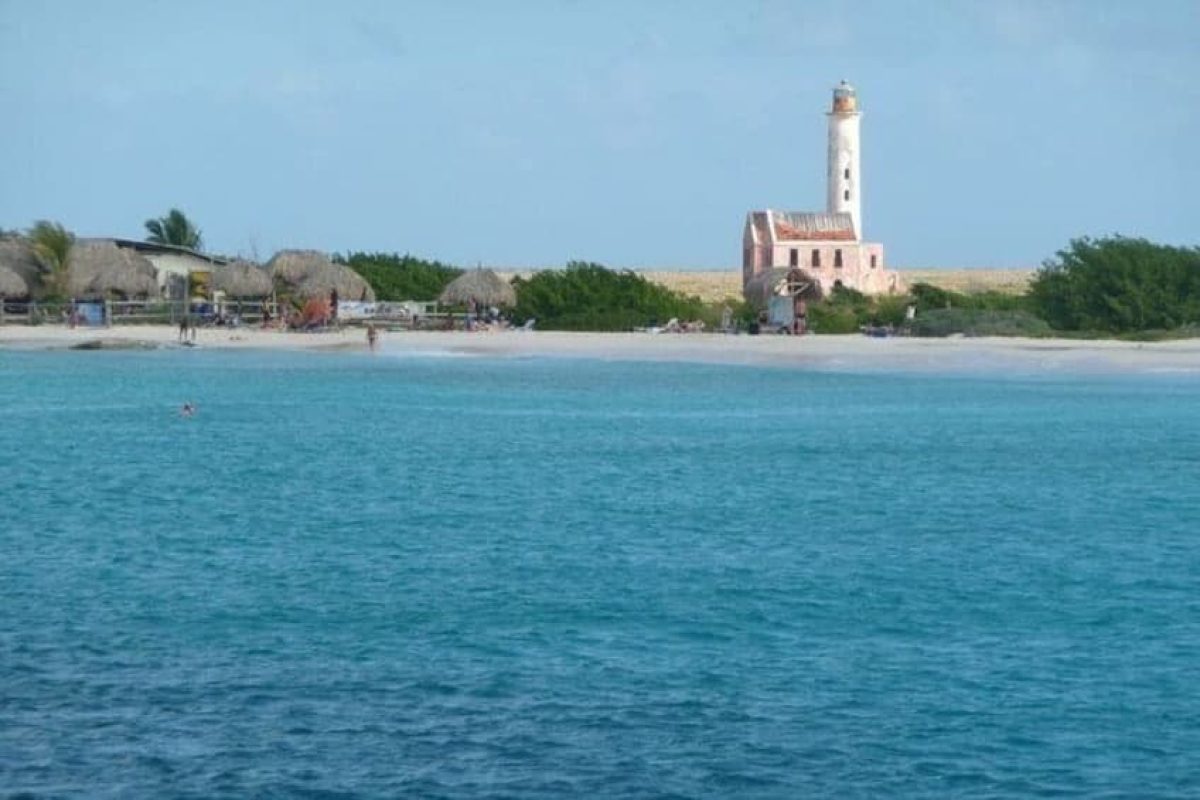 f2ef2e26-0aae-4e4b-b423-60d781c46933