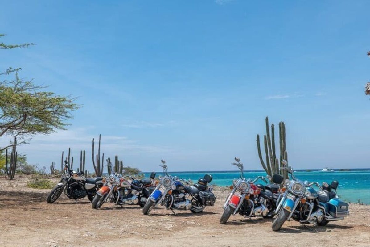 F6FEBA1D-7FDC-4BE2-8E20-AD4C60B5E758