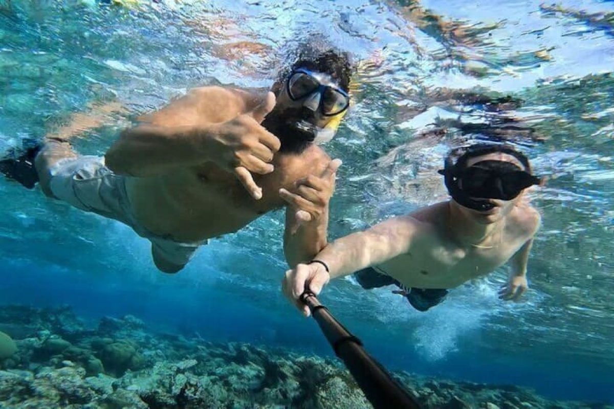 FC5C0E4D-4240-4E80-8B70-762F4B0113D5