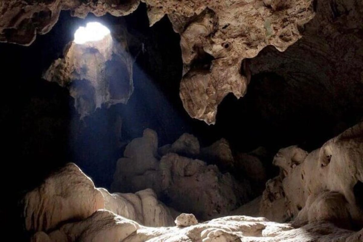 Schildpadden en Turquoise Stranden (Curaçao)