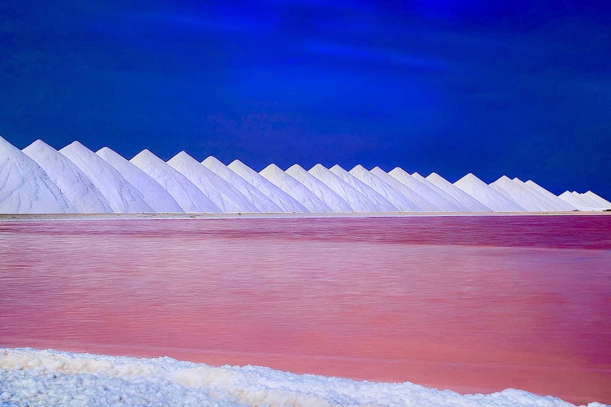 fullsizeoutput_1451_3f3f595d-5ce3-4c1e-9e50-56d598a9a80b