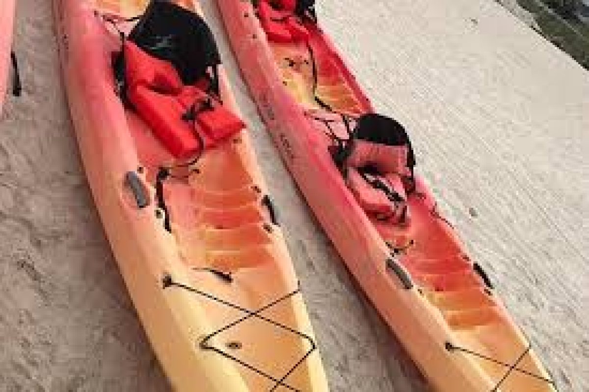 images_091c1802-bc2d-42fe-b55b-1c045b89893d