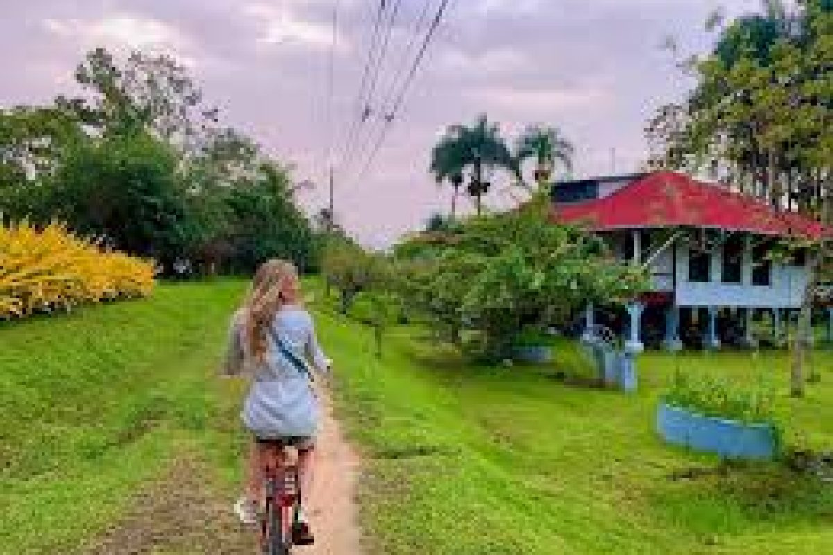 images_1_31e9eb8c-d4a6-4eeb-9d87-b1b0885badc0