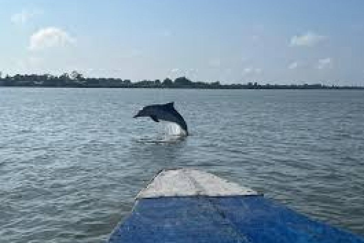 Commewijne Boottocht (Suriname)