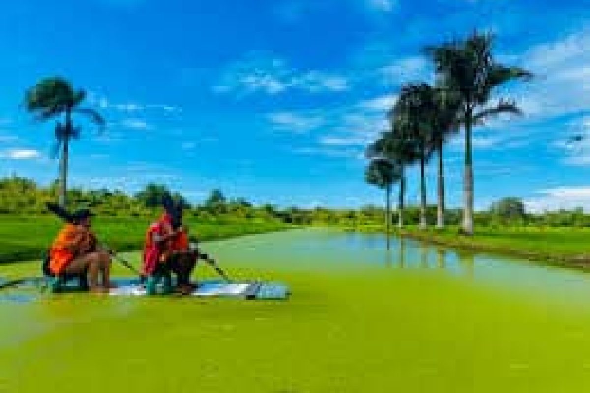 images_1d6b9243-284d-4d93-9f62-596f9de3a052