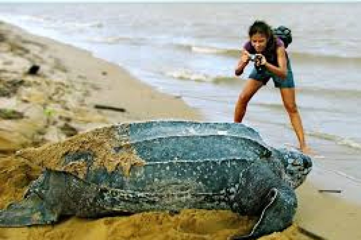 images_8_02781991-f643-4e52-9547-e6c75b7834b7