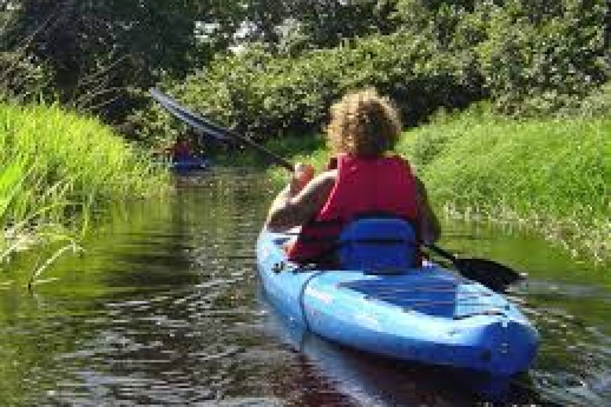 images_9f00a527-3453-434d-9b17-8eac0de794c0