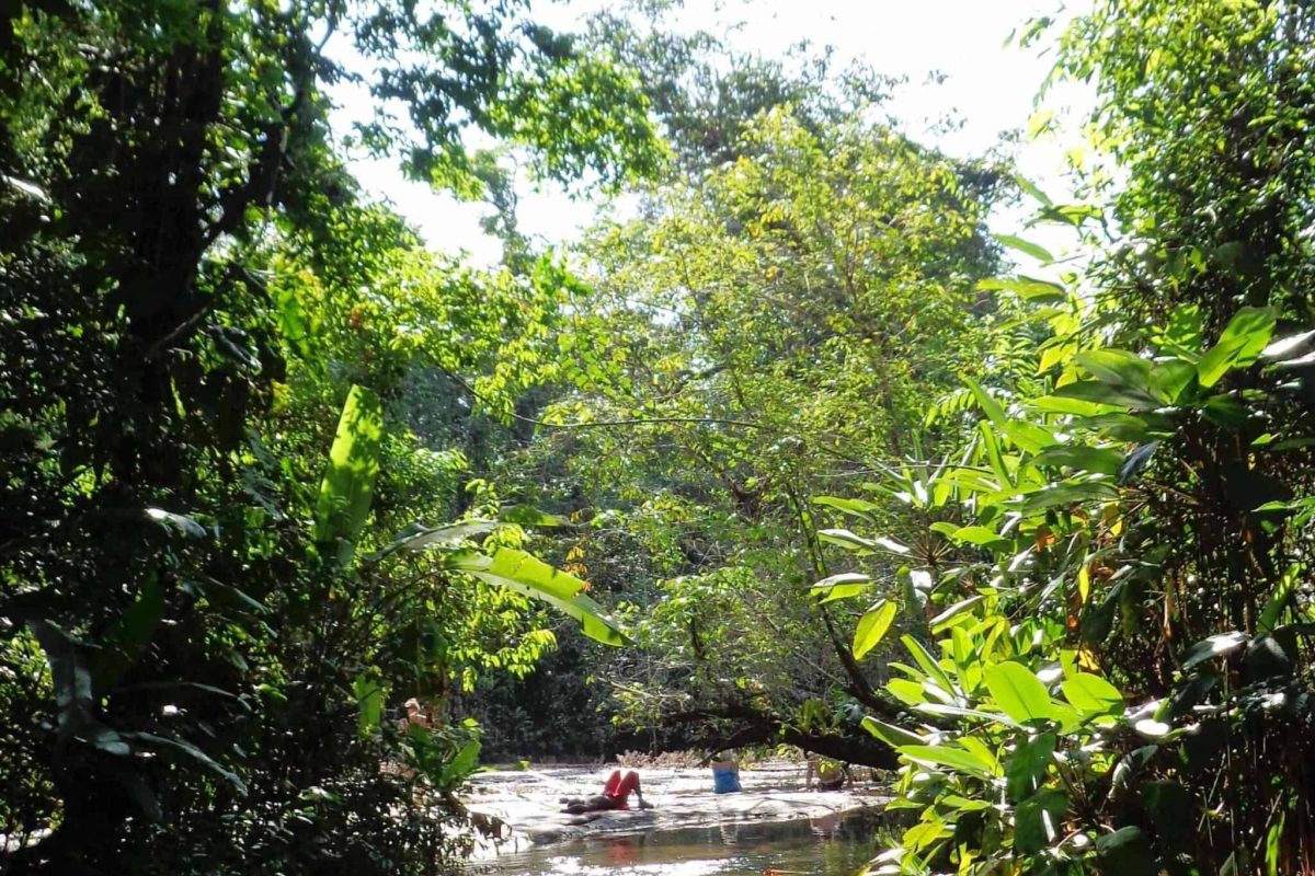 jungle-resort-pingpe-4-daagse-back-to-basic-suriname-2