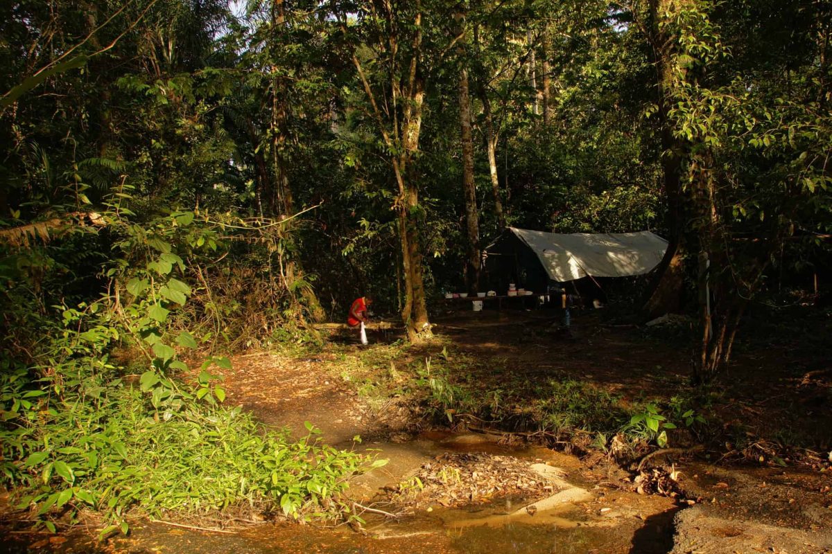 jungle-resort-pingpe-5-daagse-back-to-basic-suriname-2