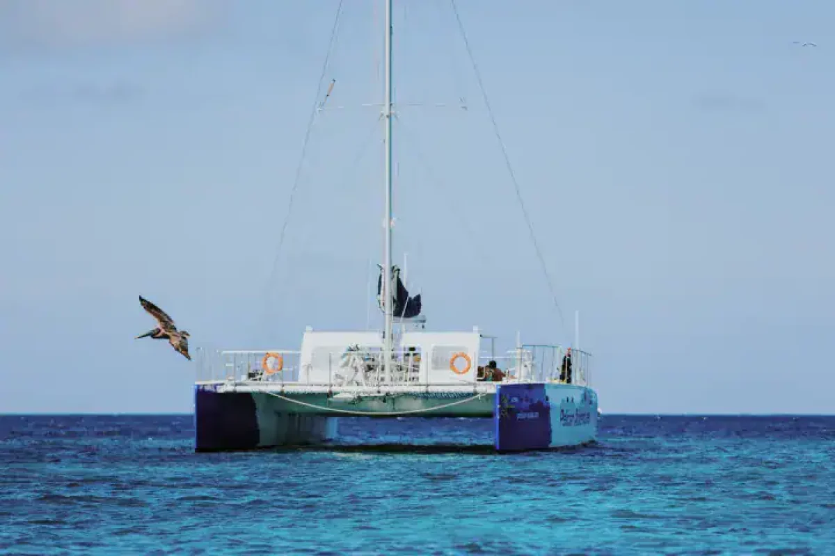 pelican-aruba-champagne-brunch11