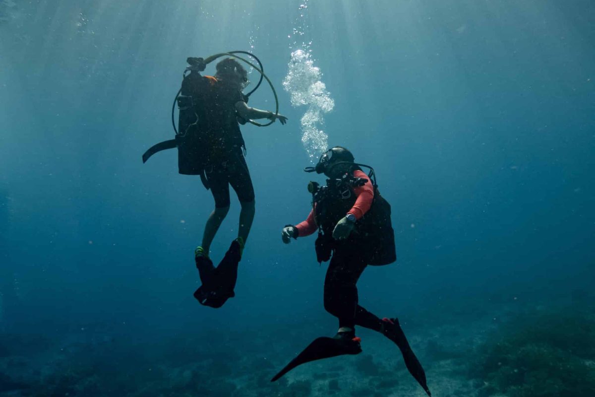 pexels-carlos-jamaica-11060853_c6efdcd7-5c5f-4502-bd25-bd5df3f9900f