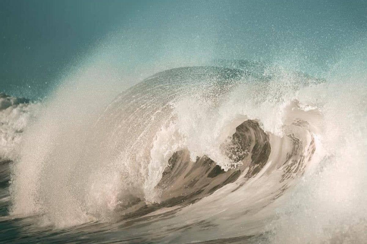 pexels-photo-12224446