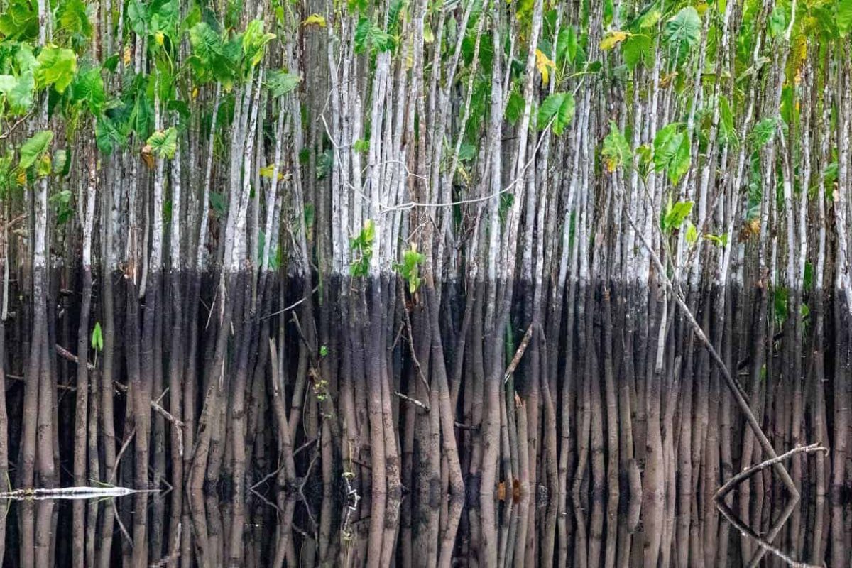 rI3CtcDVbaQNyxrSfwsXyUDZuOAQhwugfIkdIupA