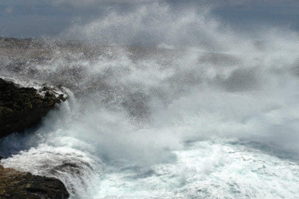 shetebocawaves600x300