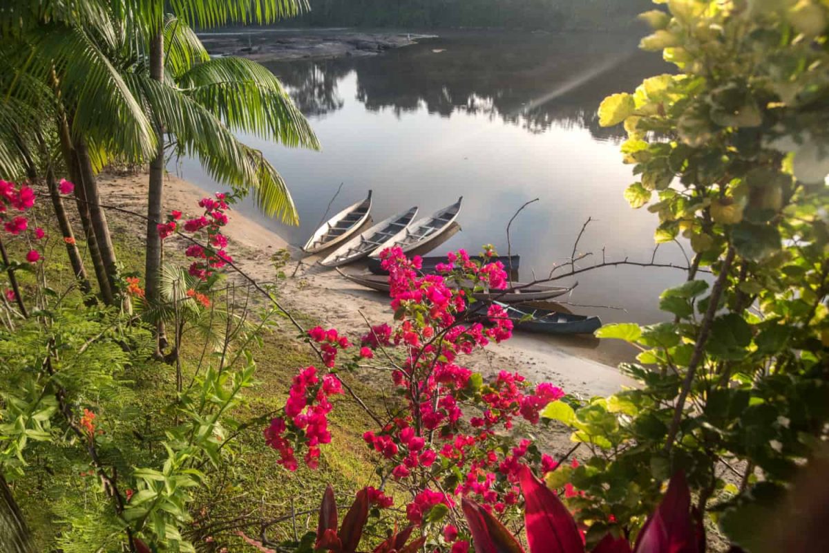Korjalen op het strand van Danpaati aan de Boven-Surinamerivier