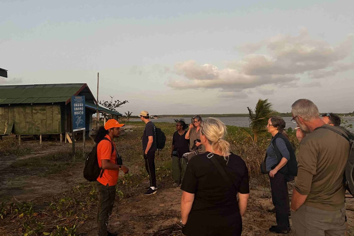 zeeschildpadden-tour-braamspunt-suriname-3